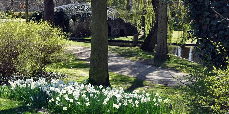 Zimmerplein Lier