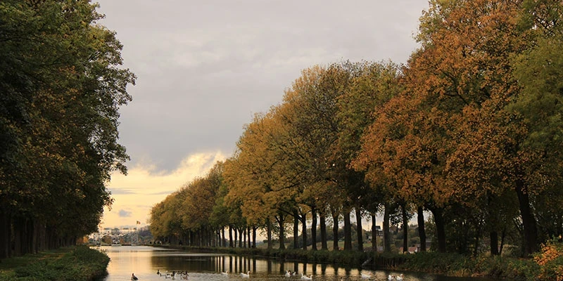 Visitors can also explore the underground caves of Han-sur-Lesse or