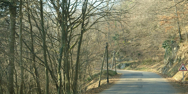 The forest road climbing toward Haut-Koenigsbourg through bare winter trees