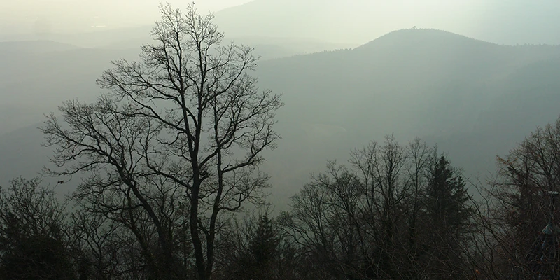 Mist filling the valley below Haut-Koenigsbourg seen through bare trees