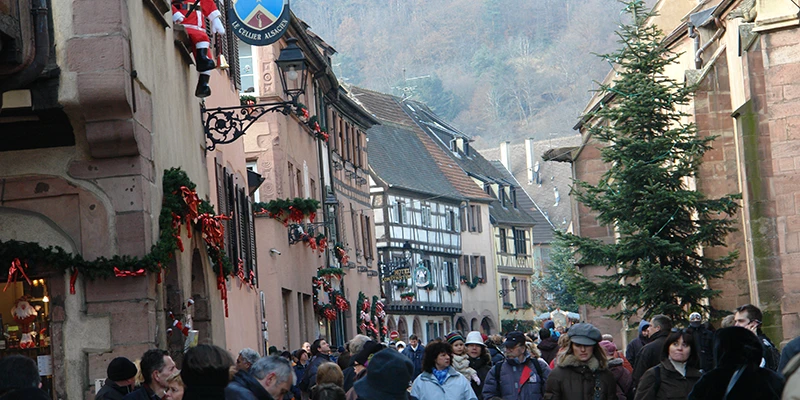 Christmas trees lining the market street in Kaysersberg with the hills behind