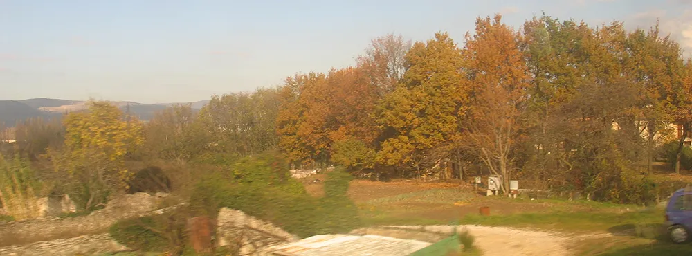 River and parkland in Lyon in golden autumn light