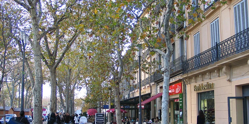 Aix en provence (53)