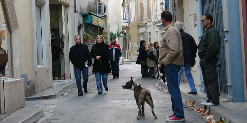 St remy27