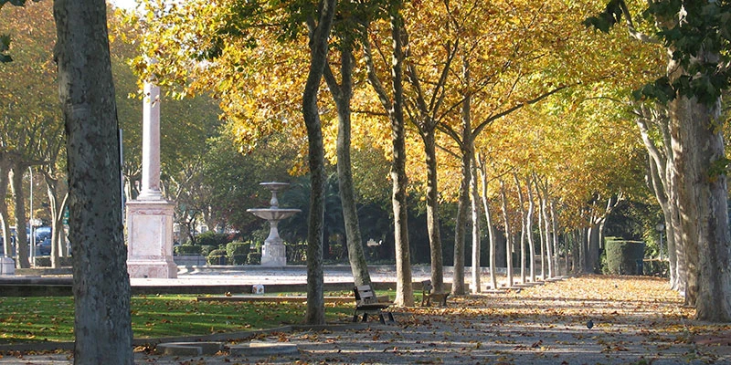 Lower carcassonne (101)