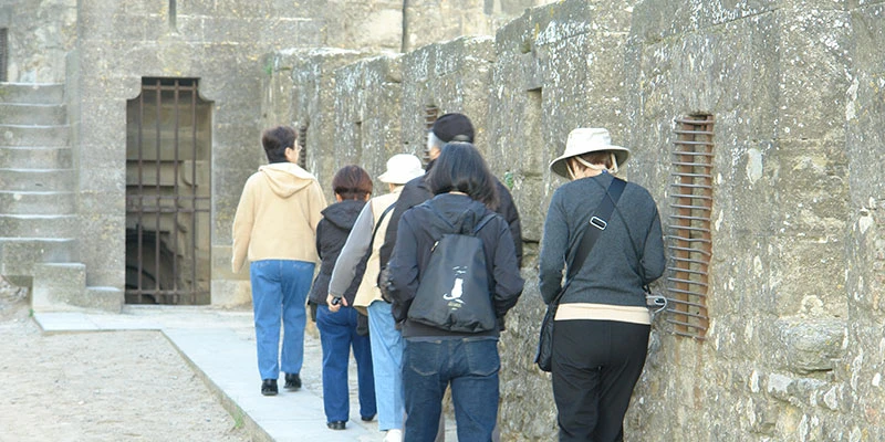 Walls carcassonne 2018 walls21