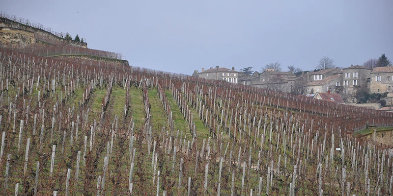 Stemilion 08dec09