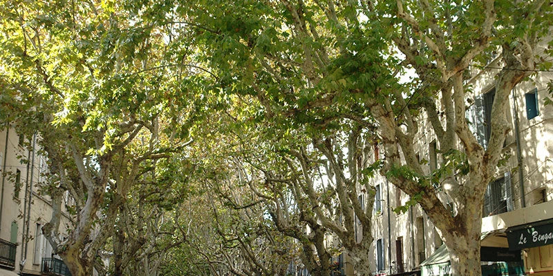 Uzes88