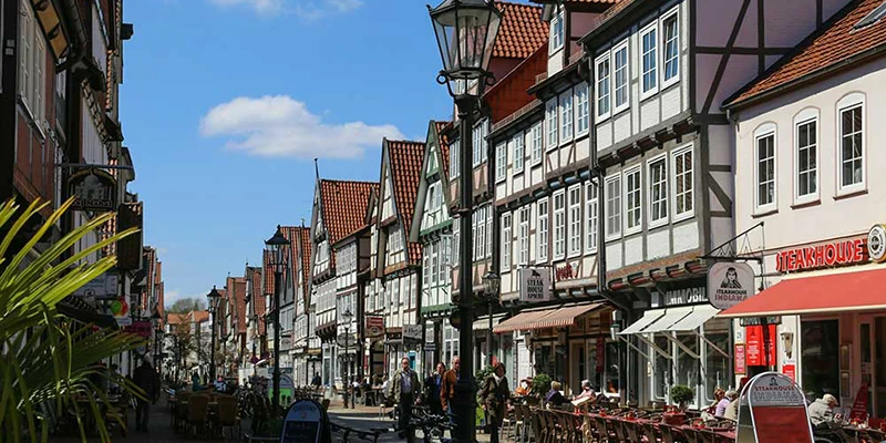 Celle unpx