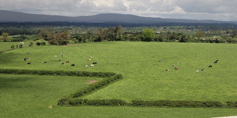Rock of cashel (13)