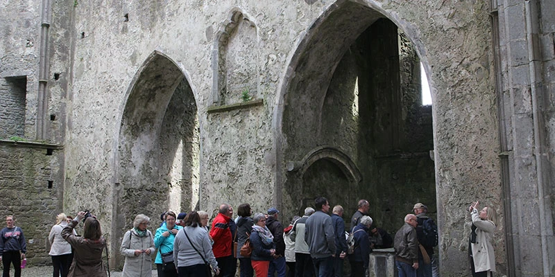 Rock of cashel (26)