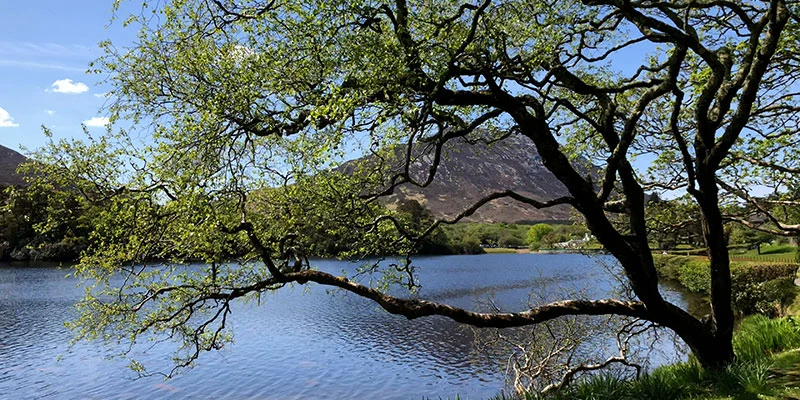Connemara kylemore (5)ff