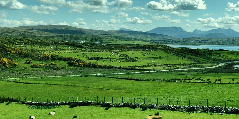 Connemara driving (19)ff