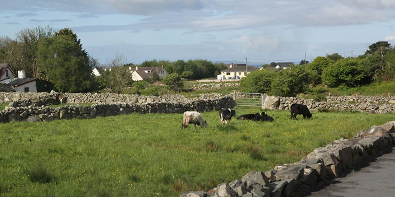 Connemara driving pic (2)