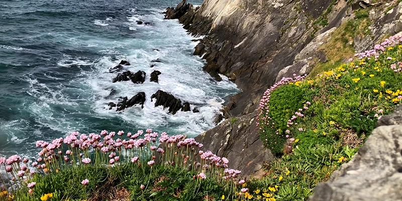 Wild Atlantic coastline of the Dingle Peninsula