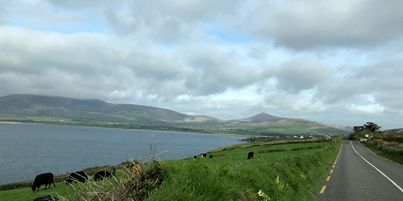 Slea Head panoramic drive with green hills and stone walls