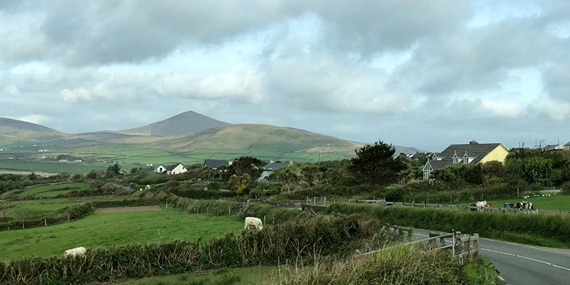Rural countryside outside Dingle town with manor homes