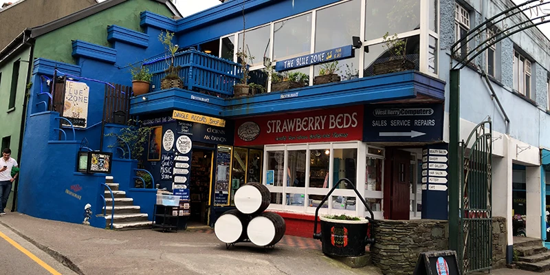 Blue Zone pizza, jazz and wine bar in Dingle