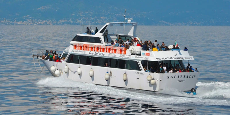 Camogli san fruttuoso others (3)