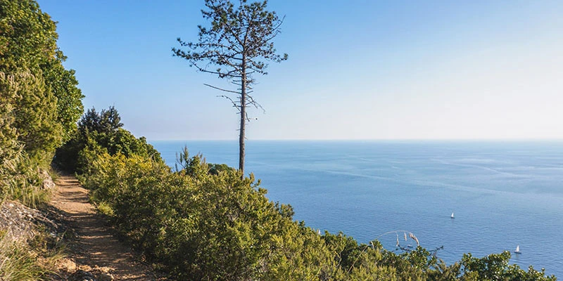 Camogli trail02
