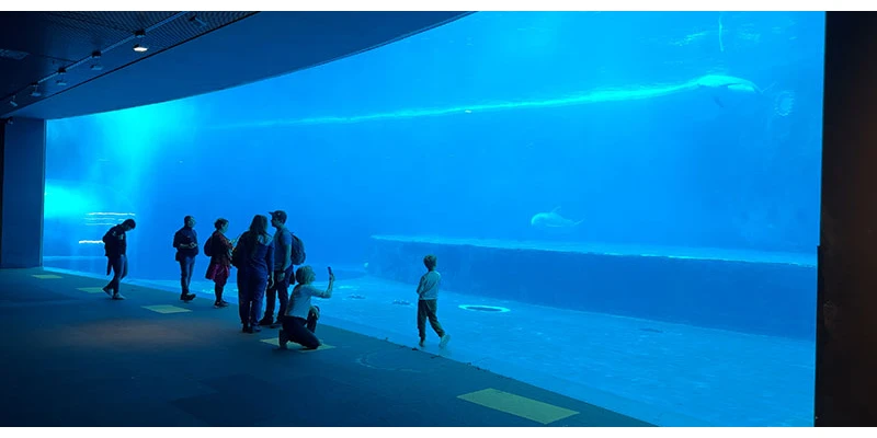 Genoa aquarium