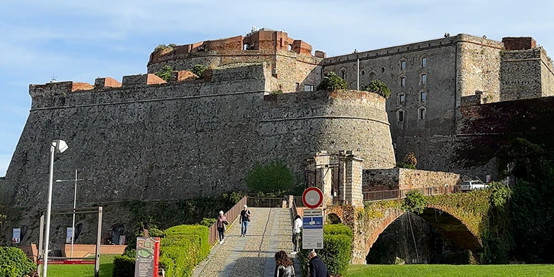 Savona market