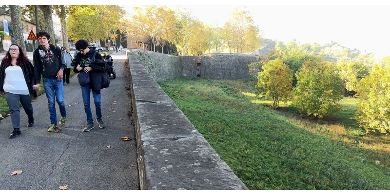 Venetian walls