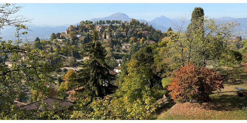 Garden terrace views