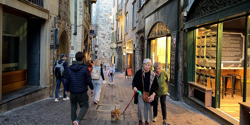 Bergamo towers