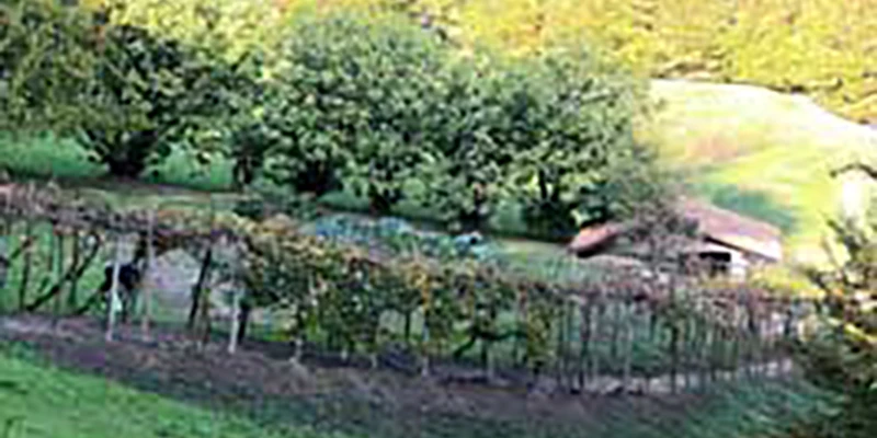 Bergamo-00_21_30_12