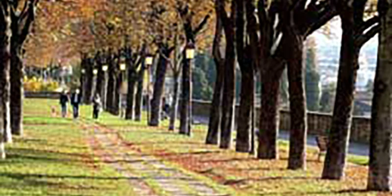 Bergamo-00_37_21_05