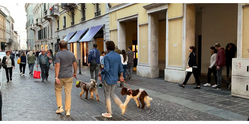 Brescia(17)