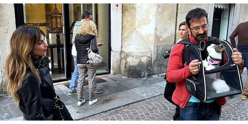 Mantua 00 09 02 22 still177