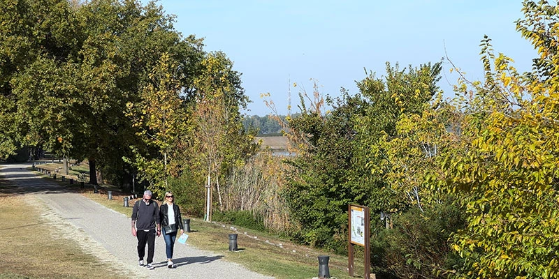 Mantua 00 25 09 24 still423
