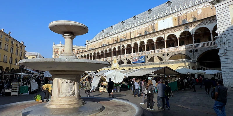 Padua center