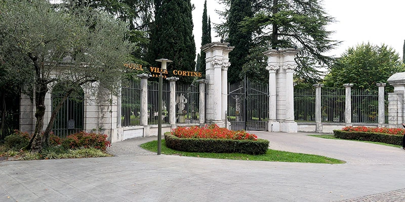 Olive grove