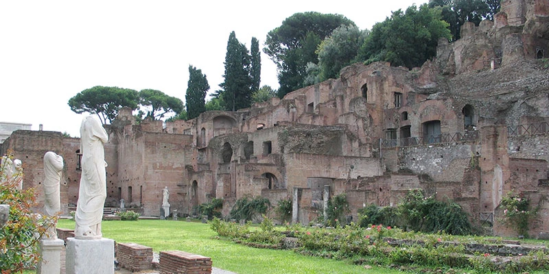Forum (7) 04b