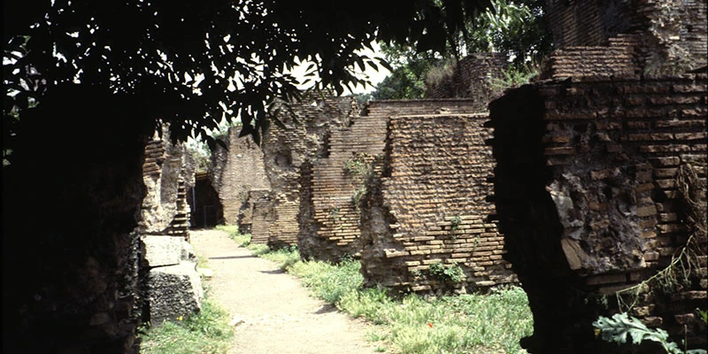 Forum alley