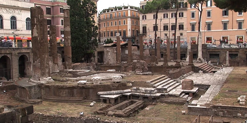 Largo Argentina columns