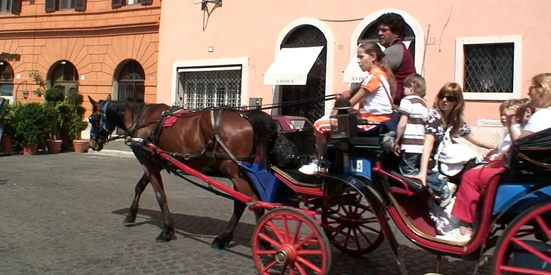 Horse carraige piazza navona 00 05 45 06 still003
