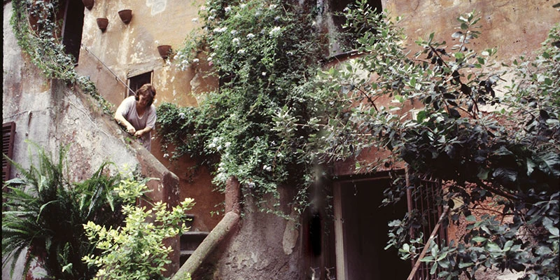 Residential courtyard