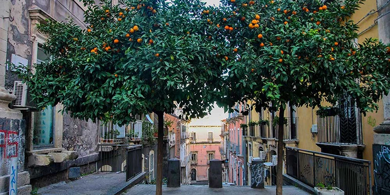 Catania