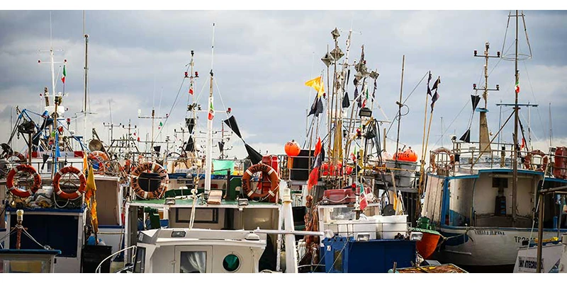 Trapani
