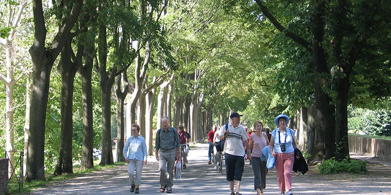 Lucca04a (60)