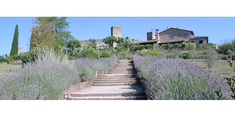 Monteriggioni 400567 free