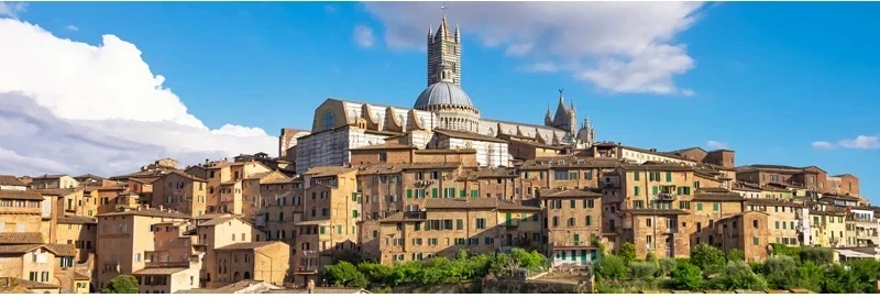 Siena cover