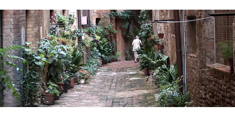 Siena ff 00 18 32 02 still220