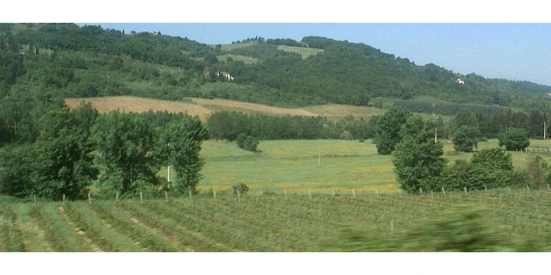 Siena ff 00 34 57 15 still333 800 mid
