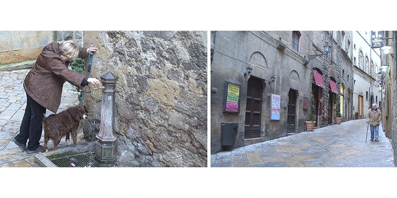 Volterra ff 00 04 16 13 still341=2up