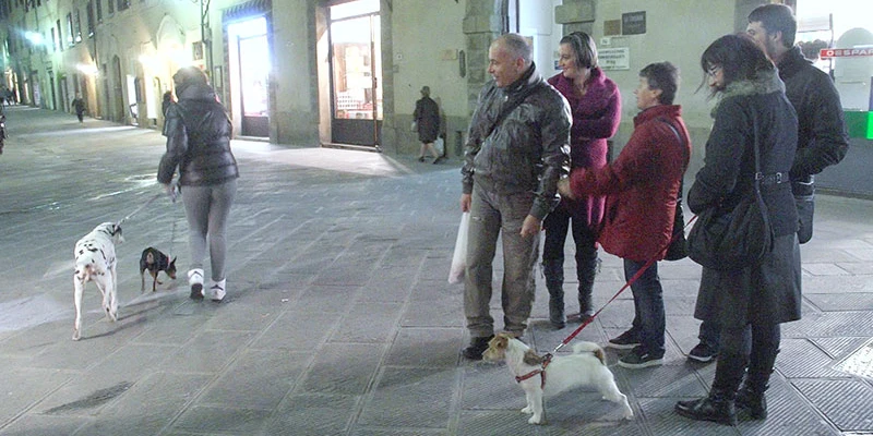 Volterra ff 00 14 44 17 still172